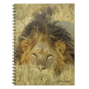 Lejon Male journal Anteckningsbok