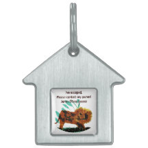 Lejon målning, stor katt kontakta