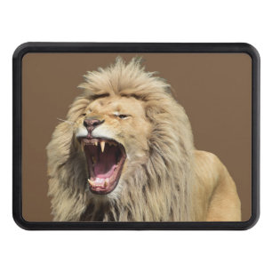 Lejon med hög spänning dragkroksskydd