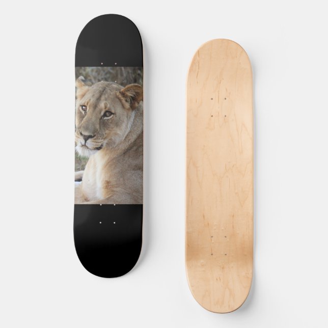 Lejon Mini Skateboard Bräda 18,5 Cm (Framsida)
