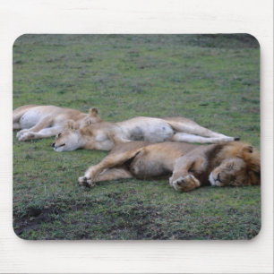 Lejon Napping - Mousepad Musmatta