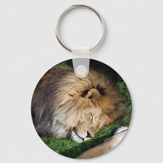 Lejon Nyckelring (Framsida)