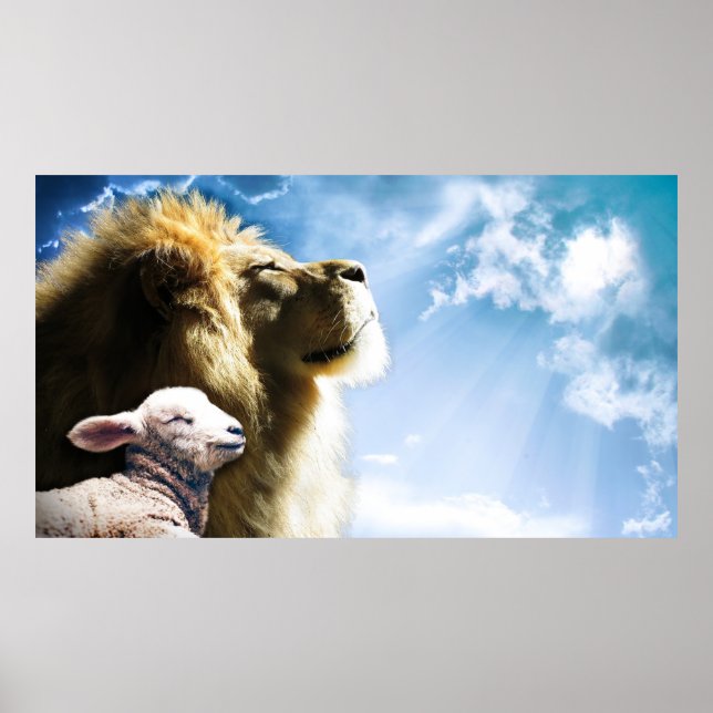 Lejon och lammPoster Poster (Framsidan)