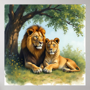Lejon och leoness under Träd Poster