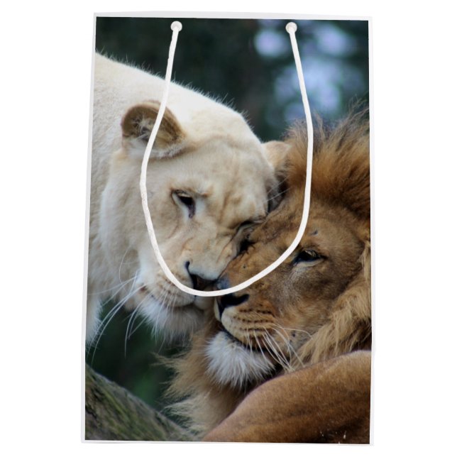 Lejon och lioness (Baksidan)