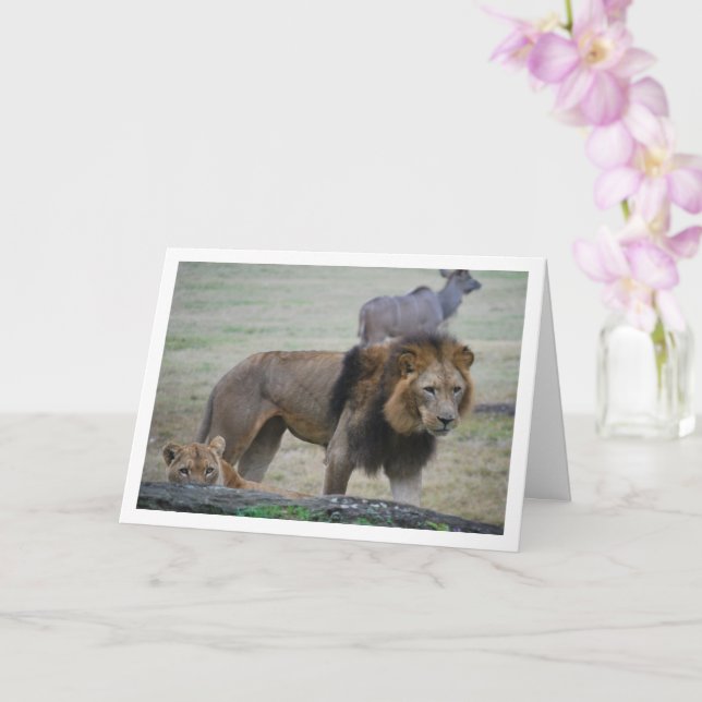 Lejon och lioness kort (Orkide)
