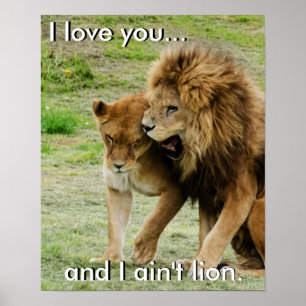 Lejon och Lioness Poster