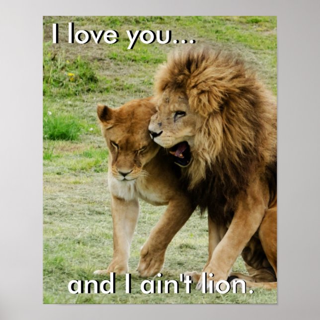 Lejon och Lioness Poster (Framsidan)
