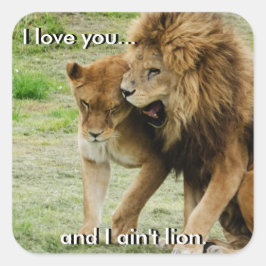 Lejon och Lioness Sticker Fyrkantigt Klistermärke
