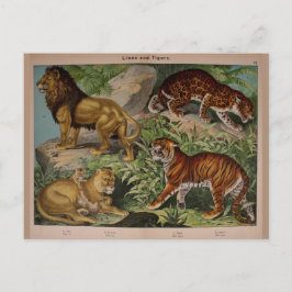 Lejon och Tigers Vintage Art Ephemera Vykort
