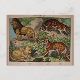 Lejon och Tigers Vintage Art Ephemera Vykort