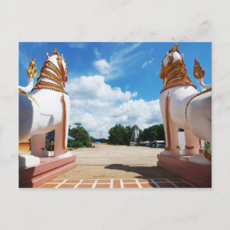 Lejon Öga-vy Vykort