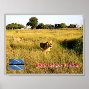 LEJON Okavango Delta - Poster