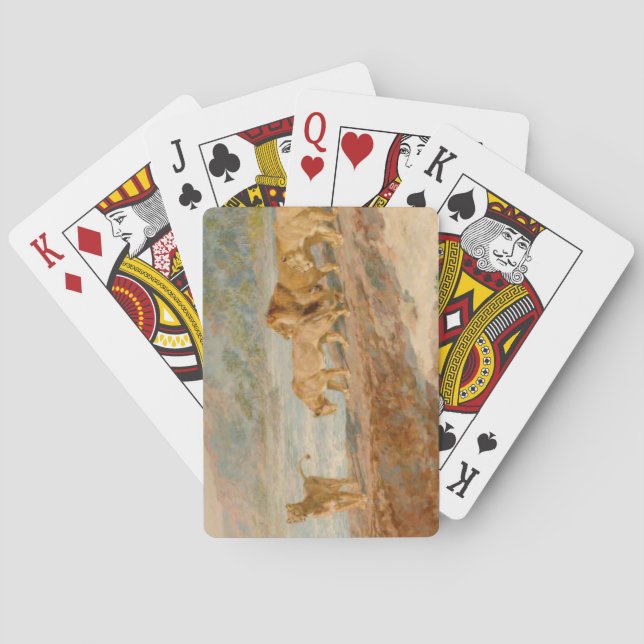 Lejon på en afrikansk flod casinokort (Baksidan)