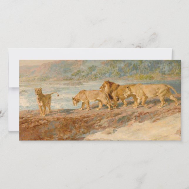 Lejon på en afrikansk flod kort (Framsida)