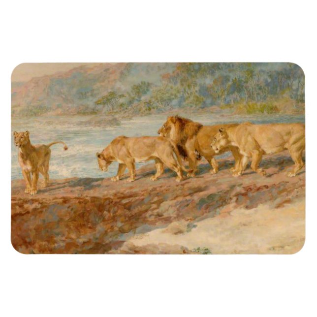 Lejon på en afrikansk flod magnet (Horisontell)