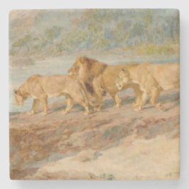 Lejon på en afrikansk flod stenunderlägg