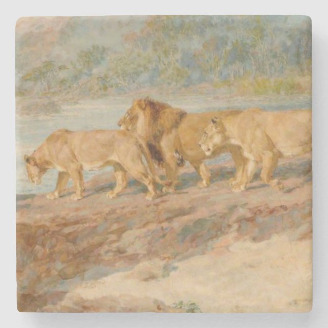 Lejon på en afrikansk flod stenunderlägg (Framsidan)