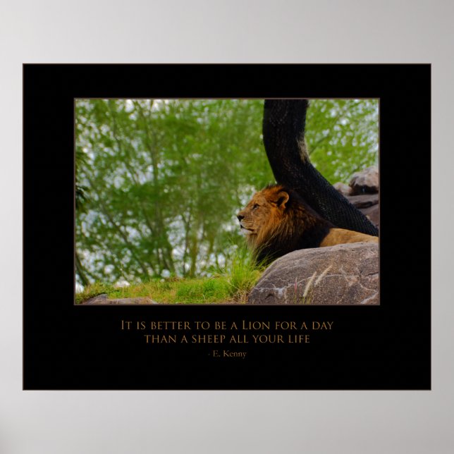 Lejon på monteringen poster (Framsidan)