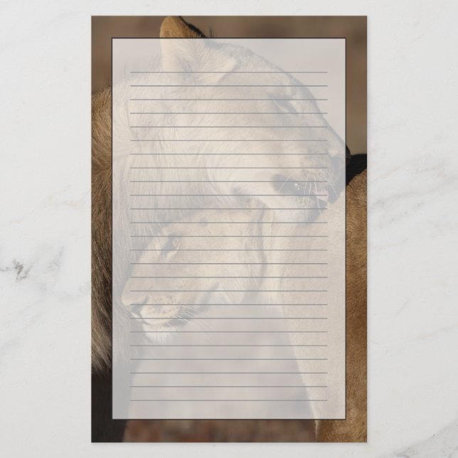 Lejon (Panthera leo) parar bindningen, skelett Brevpapper (Framsida)