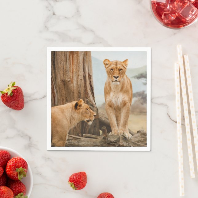 Lejon Pappersservett (Insitu)