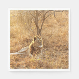 Lejon Pappersservett