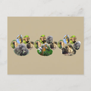 Lejon Pawprint triple Collage för afrikansk Wildli Vykort