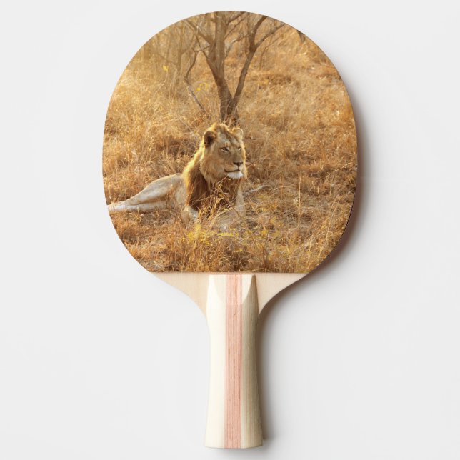 Lejon Pingisracket (Framsidan)