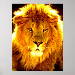 Lejon poppgrafi Poster ledarskap