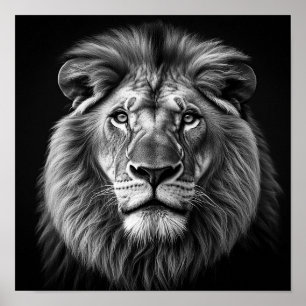 Lejon Poster