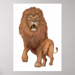 Lejon Poster