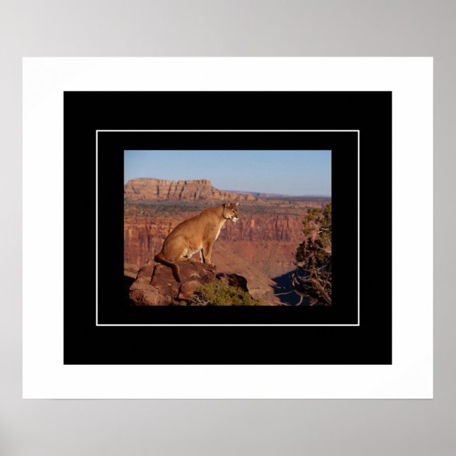 Lejon poster bergsregion (Framsidan)