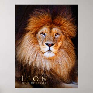 Lejon [Poster] Poster