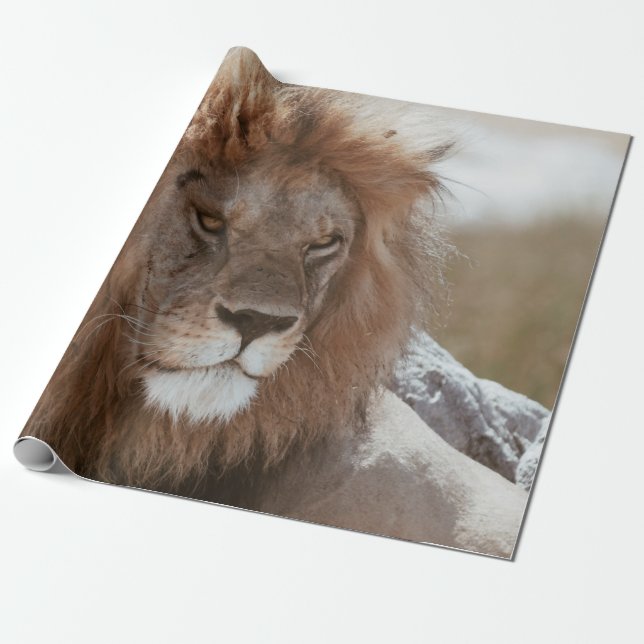 Lejon Presentpapper (Utrullad)