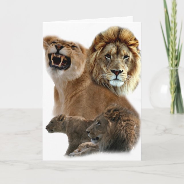 Lejon Pride Kort (Framsida)