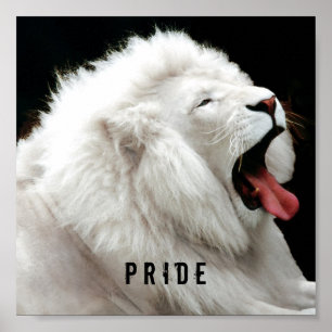 lejon prideaffisch för vit poster