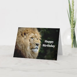 Lejon Profil Wildlife Photo Birthday Kort