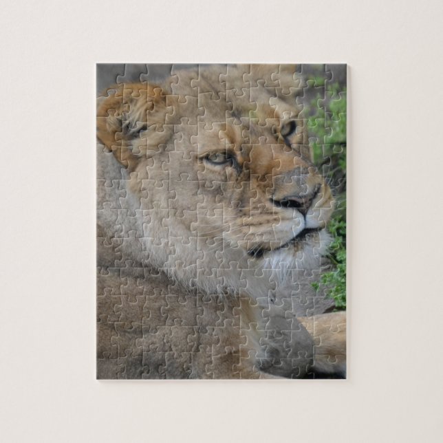 Lejon Pussel (Vertikal)