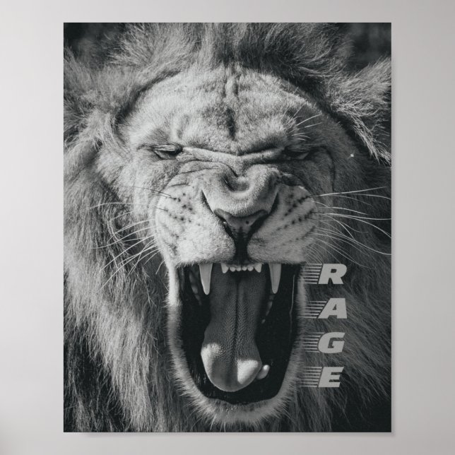 Lejon Rage Black and White Roar Poster (Framsidan)
