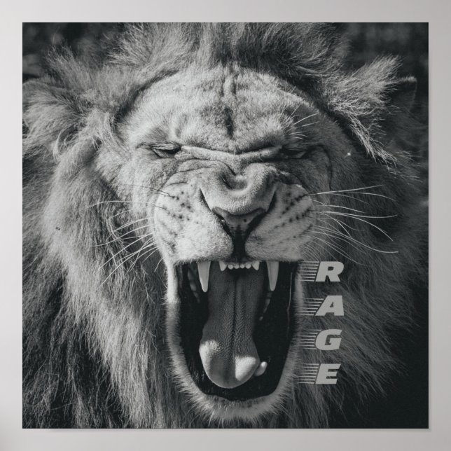 Lejon Rage Black and White Roar Poster (Framsidan)