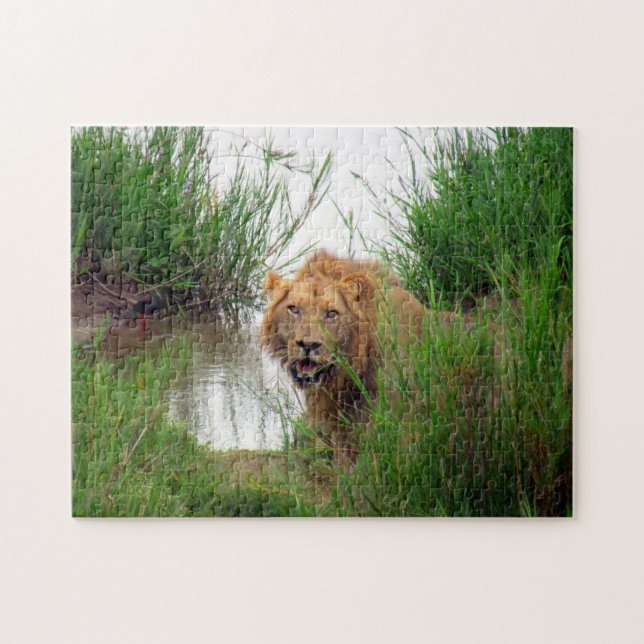 lejon ser ut pussel (Horisontell)