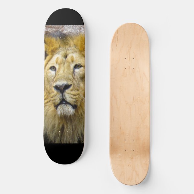 Lejon Skateboard (Framsida)