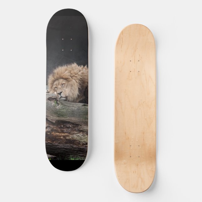 Lejon Skateboard (Framsida)