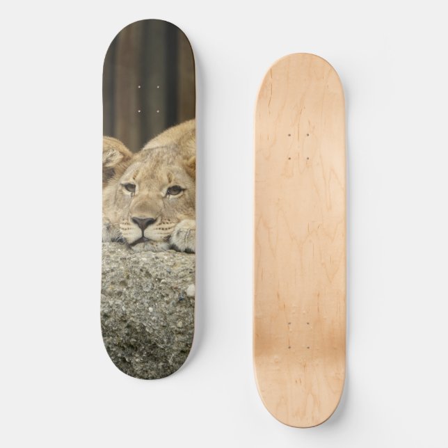 Lejon Skateboard (Framsida)