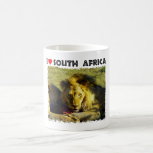 Lejon stare i syd-Afrikan Kaffemugg