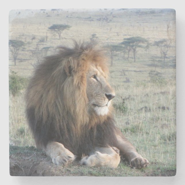 Lejon stenkustfartyg underlägg sten (Framsidan)