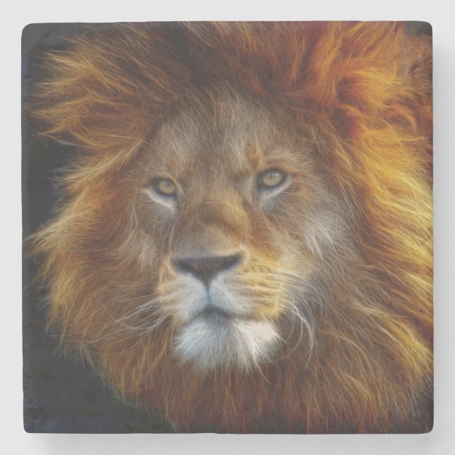 Lejon Stenunderlägg (Framsidan)