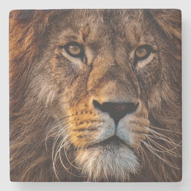 Lejon Stenunderlägg (Framsidan)