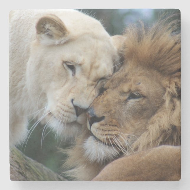 Lejon Stenunderlägg (Framsidan)