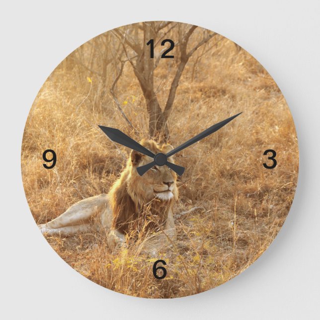 Lejon Stor Klocka (Framsida)